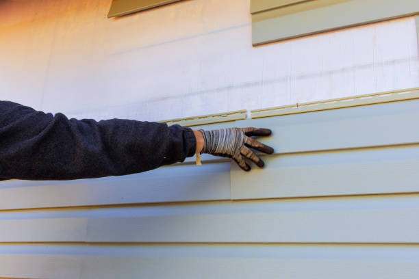 Siding Removal and Disposal